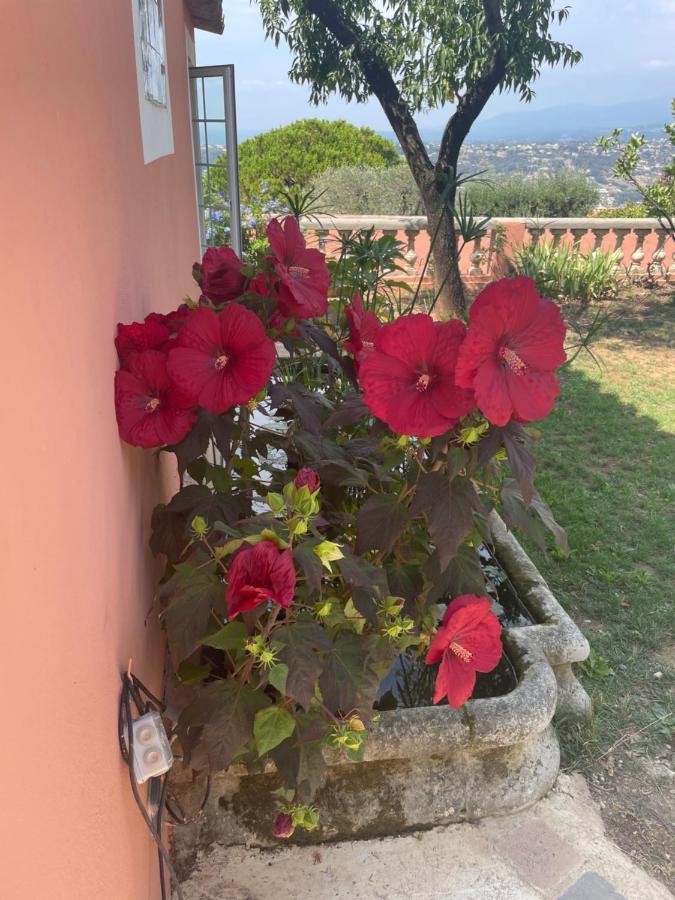 Chambre D'Hotes A L'Ancre Marine De La Villa Rose ニース エクステリア 写真